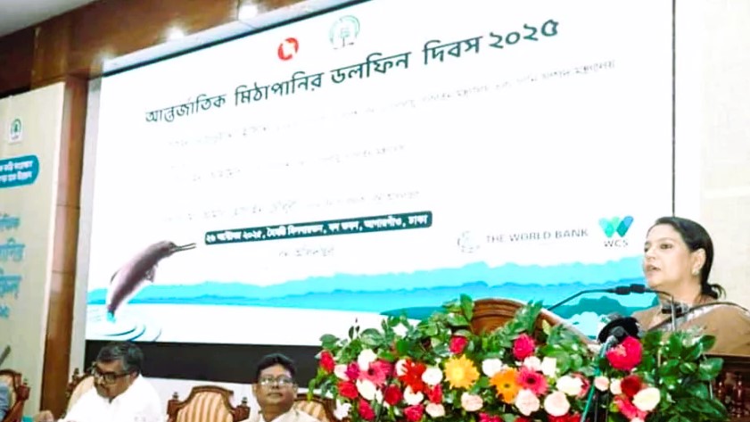 নদী দূষণে ডলফিন ও মানুষ উভয়ই বিপদে: রিজওয়ানা হাসান